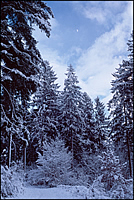 Wintermond
